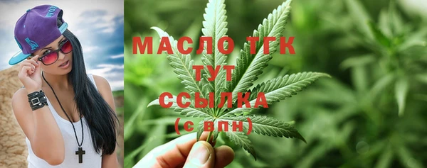 индика Белокуриха