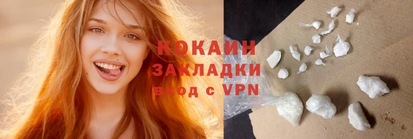 индика Белокуриха