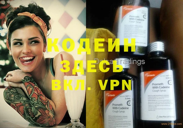 индика Белокуриха