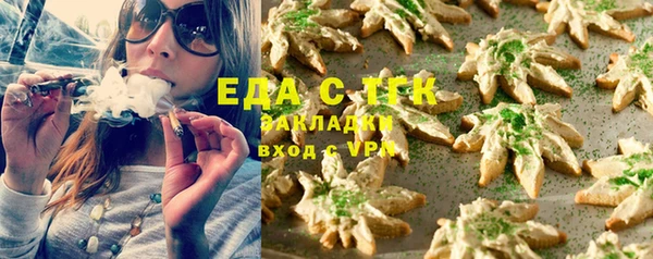индика Белокуриха