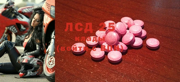 индика Белокуриха