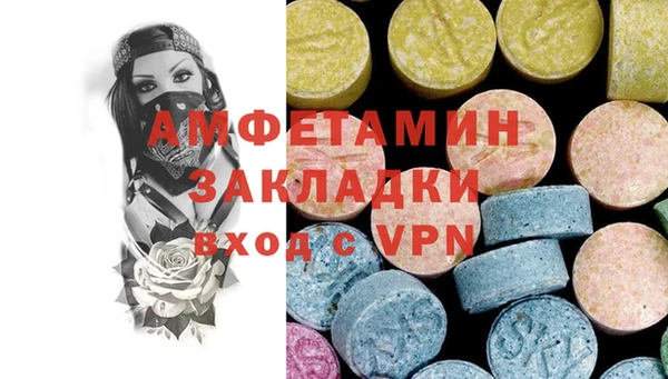 индика Белокуриха