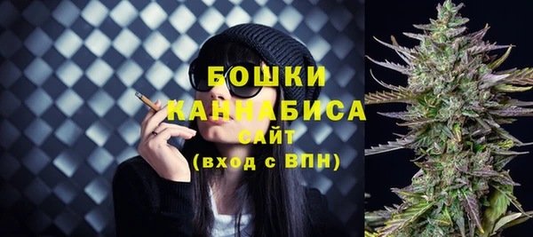 индика Белокуриха