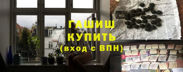 индика Белокуриха