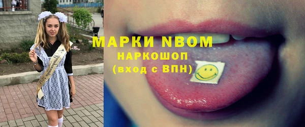 индика Белокуриха